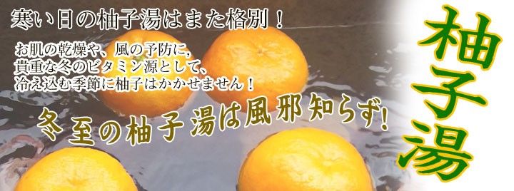 訳あり柚子10Kg 高知県産の柚子 栽培中農薬不使用 冬至 ゆず 柚子風呂