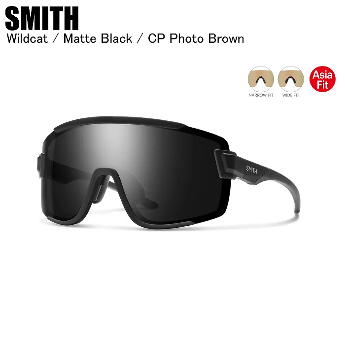 Ginza Rasin ブラック キャット偏光グラス SMITH（スミス） Wildcat Asia Fit ワイルドキャット Matte Black CP
