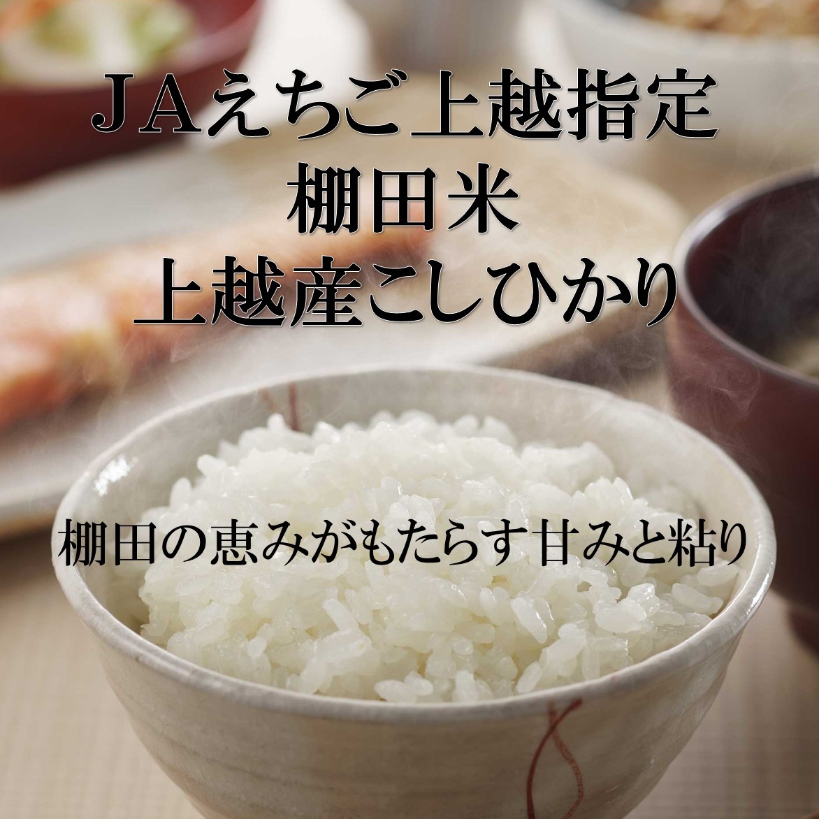 米 お米 5kg 新潟 上越産 こしひかり コシヒカリ 棚田米 本州送料無料