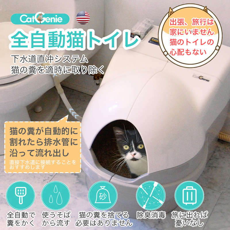 新品 未使用 海外で人気bottle Bash Standard Outdoor Game Set X13 New Fun Disc Toss For Family A 並行輸入品51 至上 新品 未使用 海外で人気bottle Bash Standard Outdoor Game Set X13 New Fun Disc Toss For Family A 並行輸入品51 至上