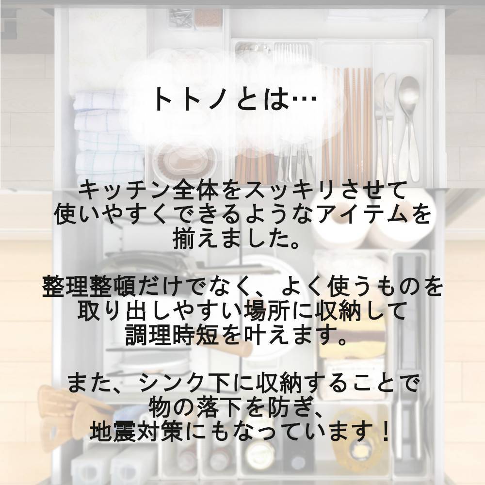 トトノ 引き出し用 調味料 収納 ボックス N リッチェル カトラリー 整理 TOTONO ジョイント付 キッチン収納 抗菌 リニューアル 新 立てて 収納 【オープニング大セール】 加工