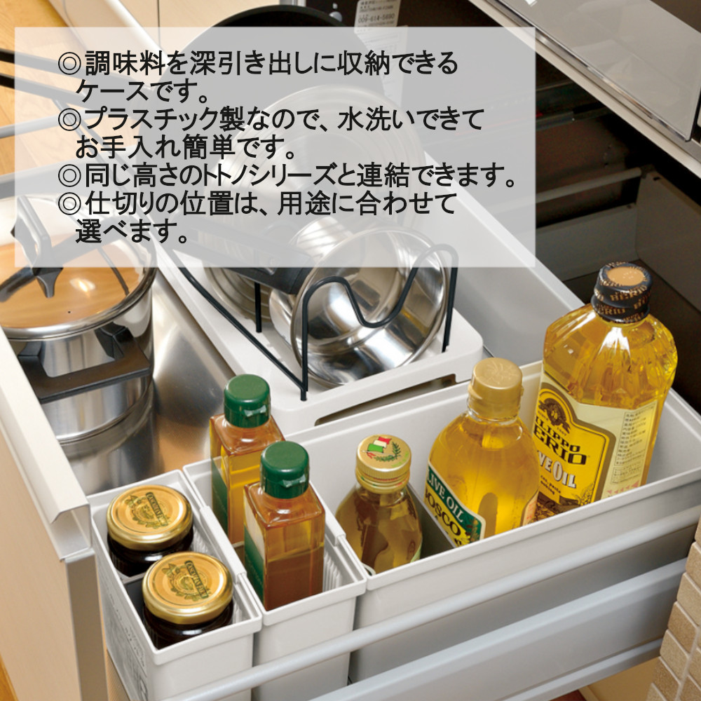 最新情報 トトノ 引き出し用 調味料 収納 ボックス N リッチェル カトラリー 整理 抗菌 加工 ジョイント付 新 TOTONO キッチン収納  リニューアル 立てて収納 whitesforracialequity.org