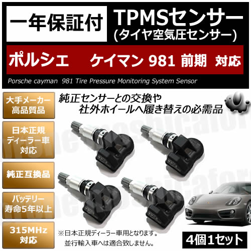 tpms-500-cayman981-zen_r1_c1.jpg