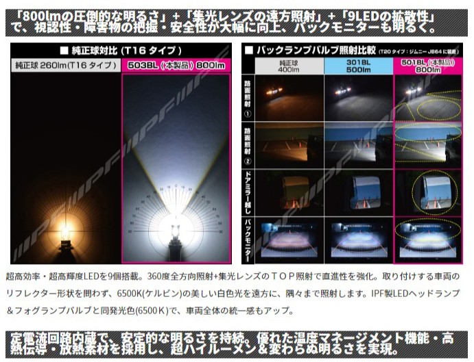 IPF バックランプバルブ 800lm 6500K T20 12v 5w 1個入り〔501BL