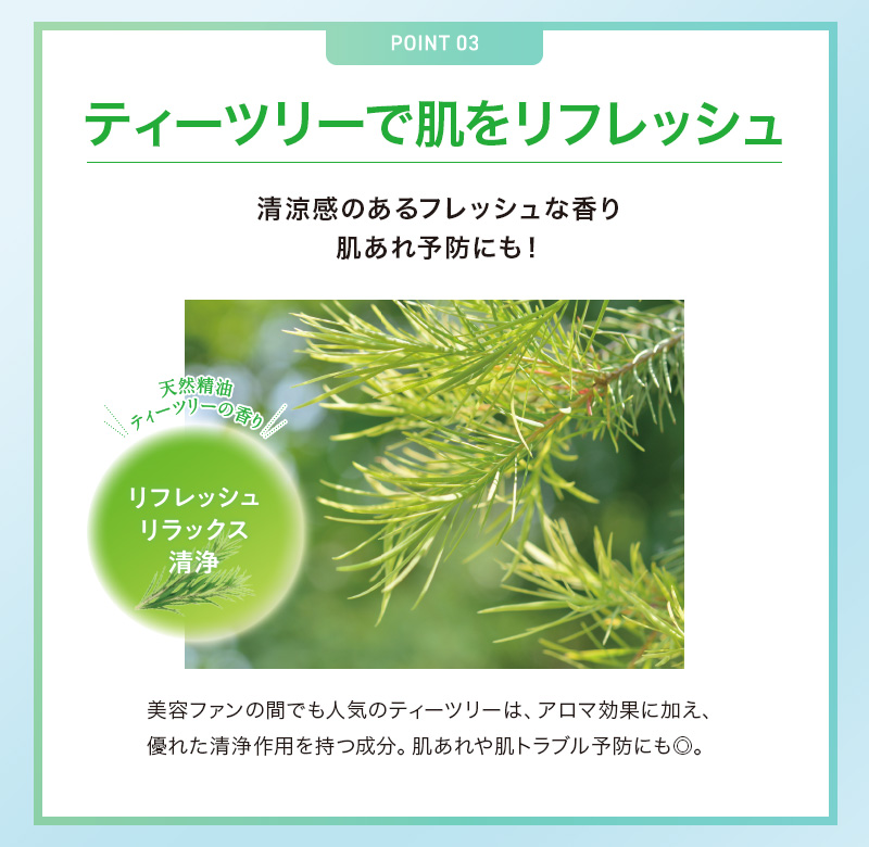 EBiS 炭酸洗顔フォーム 炭酸泡 洗顔フォーム 洗顔 毛穴 くすみ