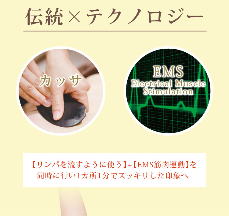 かっさ EMS かっさ美顔器 電動かっさ カッサ 美顔器 フェイスかっさ リフトケア アップ フェイスライン 進化系かっさ フロウカッサ :  sa-ebi-fa-u-00150 : 美顔器・原液の店モテビューティー - 通販 - Yahoo!ショッピング