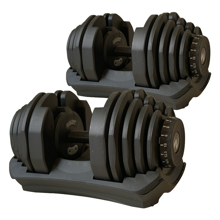 従来モデル 40kg 2個セット