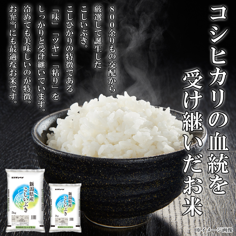 こしいぶき 米 10kg （2kg×5袋）令和7年産 新米 新潟県産 産地直送 お