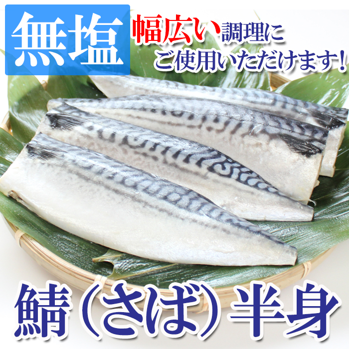 さば 鯖 無塩 さばフィレ 12枚入 4枚入×3袋セット 冷凍 さば味噌煮 塩焼き 身厚 :saba12:海鮮問屋見田元七商店 通販 最安値に挑戦 焼きサバフィレ 15枚(5枚×3)1枚約65g 焼成済 骨取り済 手間いらず