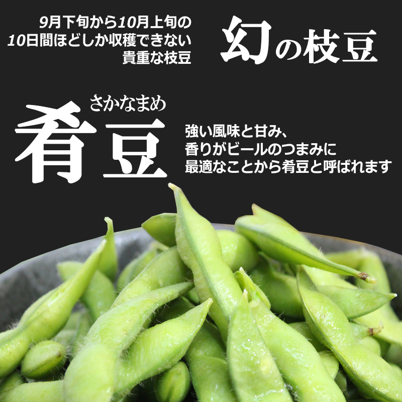 p-sakana-1n.jpg