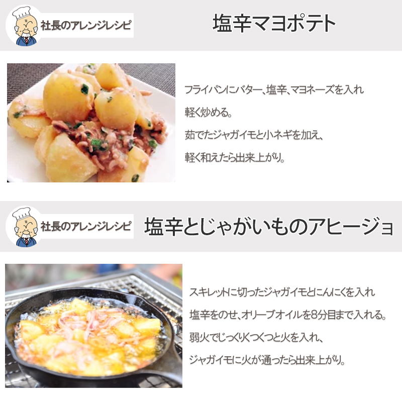 NUNOME 父の日 イカの塩辛 社長のいか塩辛 3パック 100g×3袋 300g