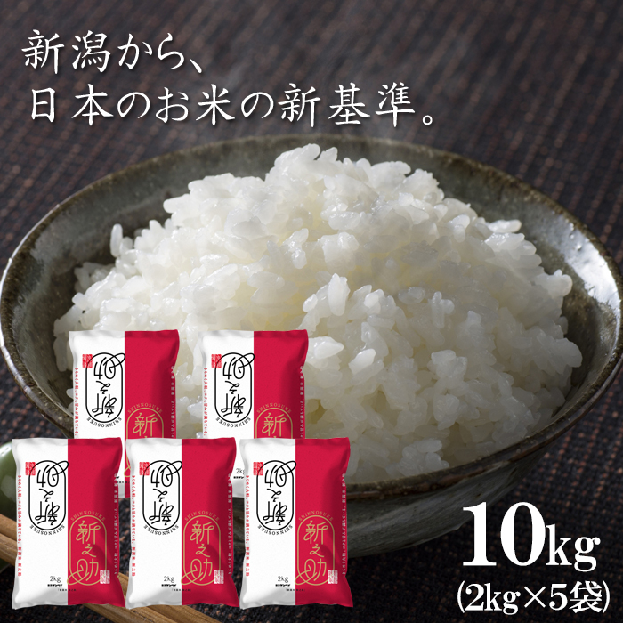 米 10kg (2kg×5袋) 送料無料 新潟県産 令和6年産 新之助 お米 ブランド米 精米 白米 ギフト : sinnosuke10kg :  海鮮問屋見田元七商店 - 通販 - Yahoo!ショッピング