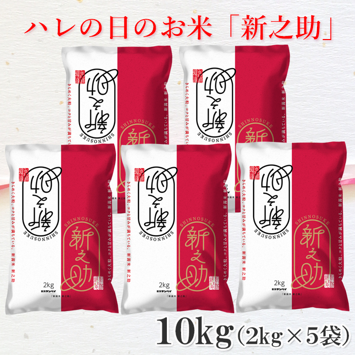 sinnosuke4-10kg.jpg