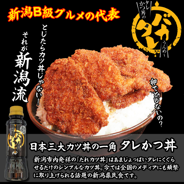 とんかつ たれかつ かつ丼 新潟濃厚タレかつ丼のタレ バカタレ 9本 