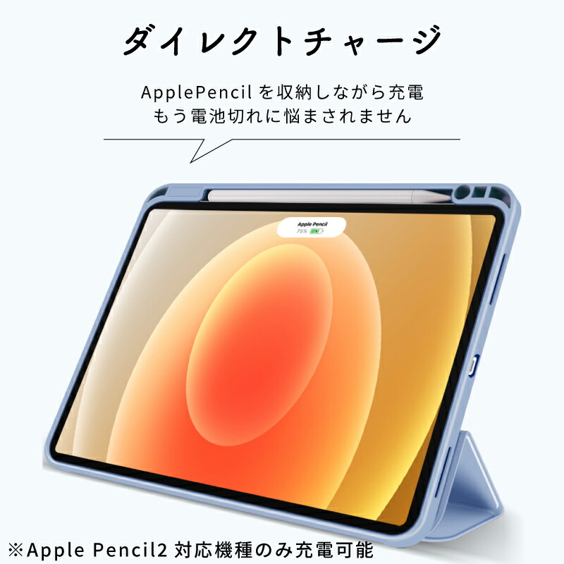 ペンシル収納 11インチ iPad Air M2 第6世代 ケース 2022 10.9インチ 