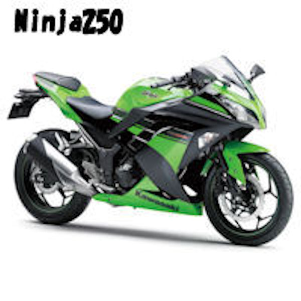 KAWASAKI純正 カワサキ J99994-0866 パニアケース（左右セット