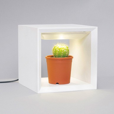 植物育成ライト LED led 多肉植物 サボテン ラン 盆栽 水耕 木製