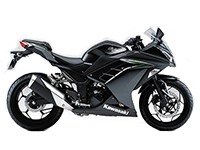 VOODOO ショーティ スリップオン・マフラー ポリッシュ ZX1400 Ninja