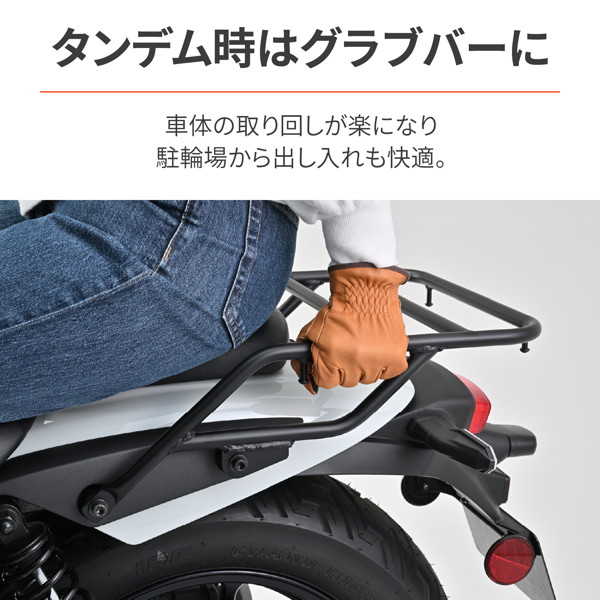 DAYTONA（デイトナ） 39583 バイク用 キャリア エリミネーター/SE(24