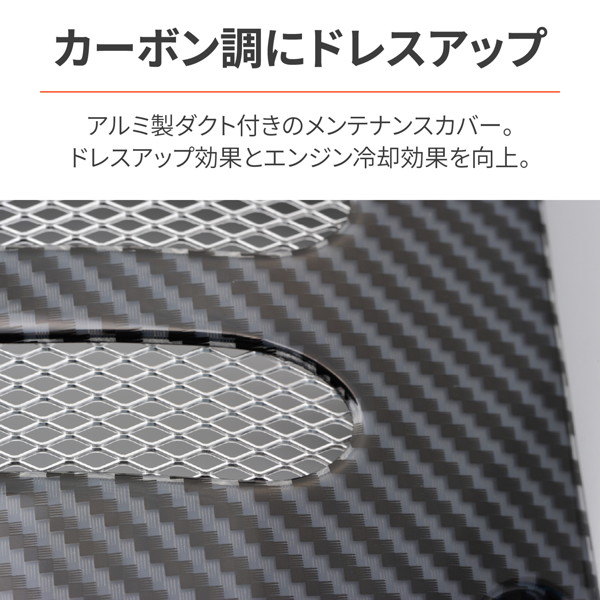 DAYTONA（デイトナ） 75767 バイク用 エンジンヘッドアクセスカバー