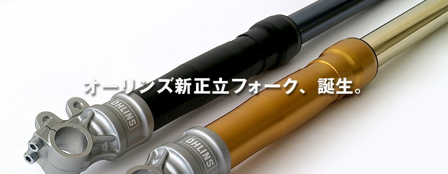 OHLINS オーリンズ FS 622G CB1300 SF/SB（03-13） 正立フロント