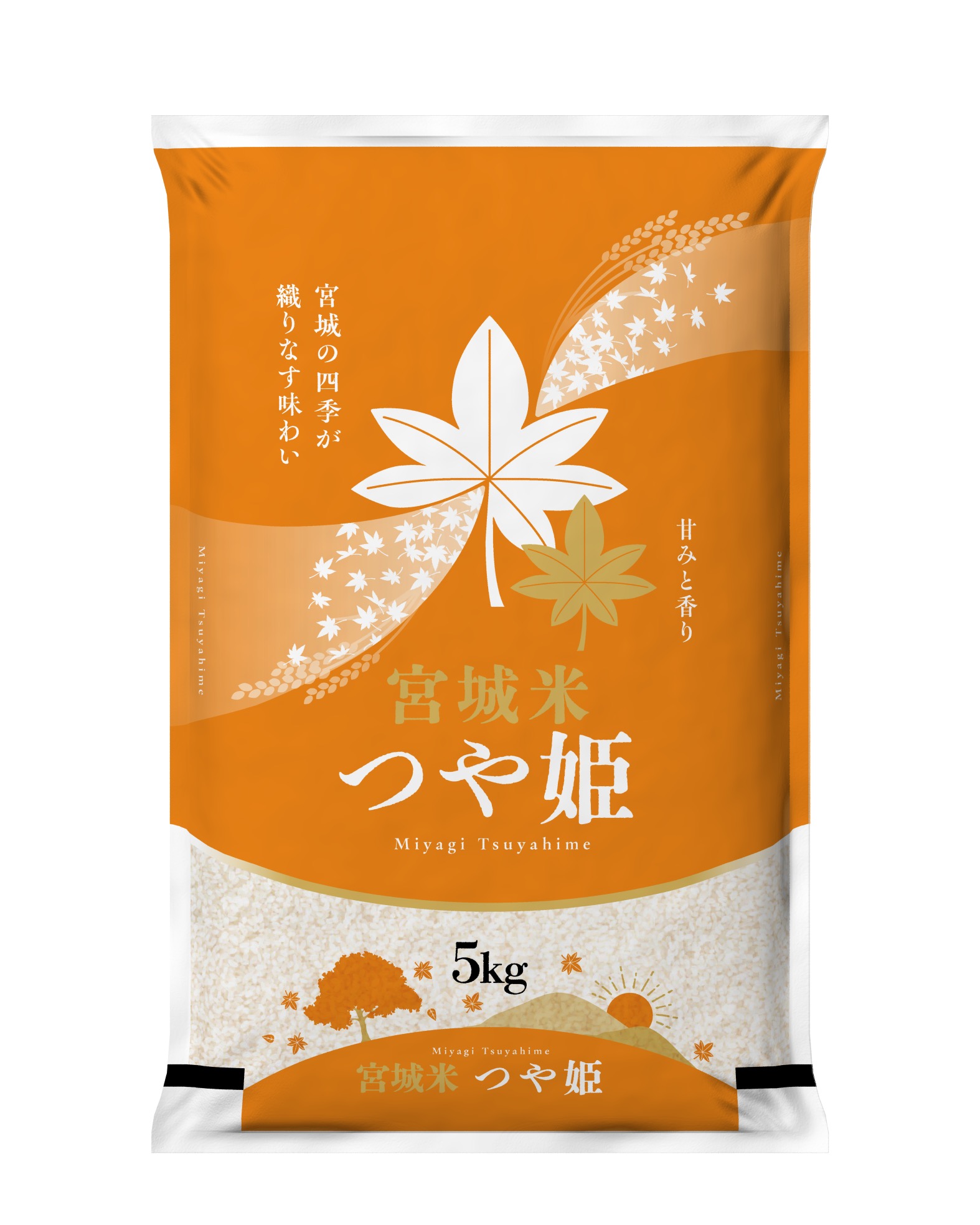 つや姫 令和7年産 〈玄米 30kg〉 宮城県産 米 お米 送料無料 安い 爆買