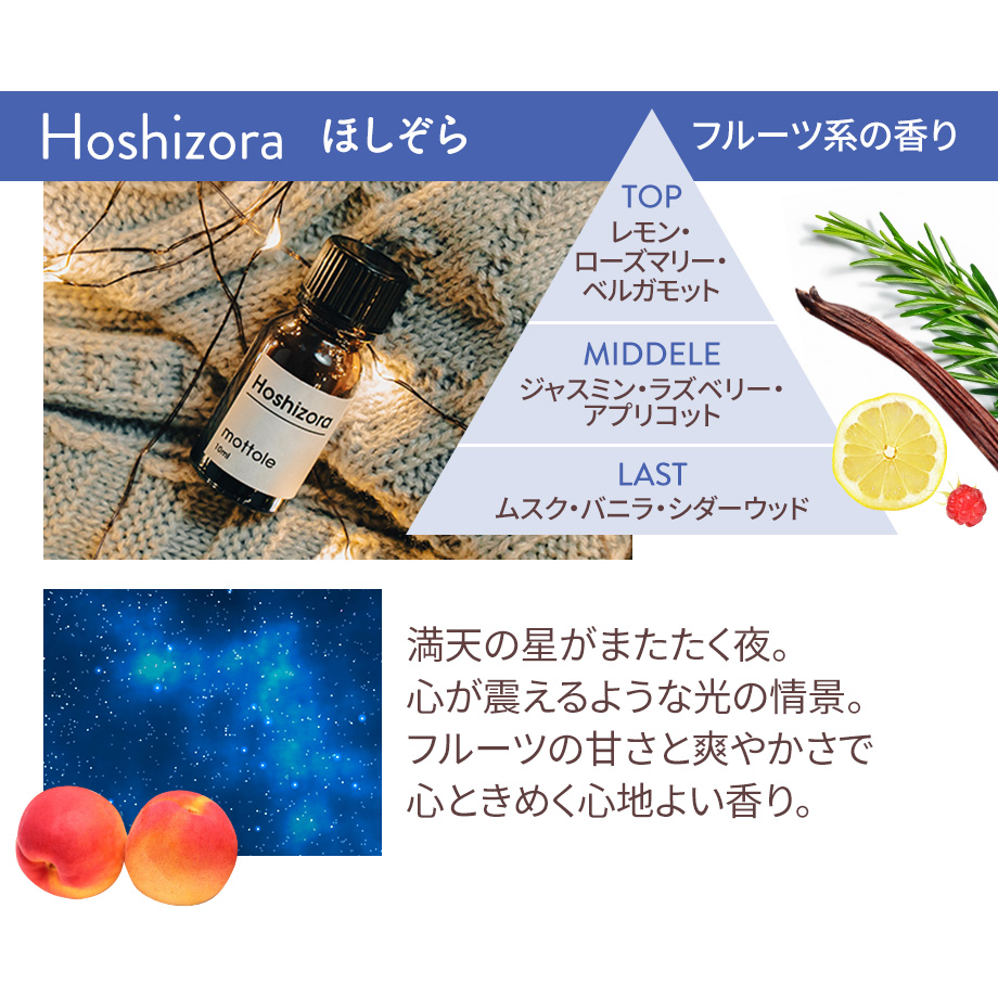 アロマオイル 2本セット シトラス フローラル ウッド アンバー ムスク