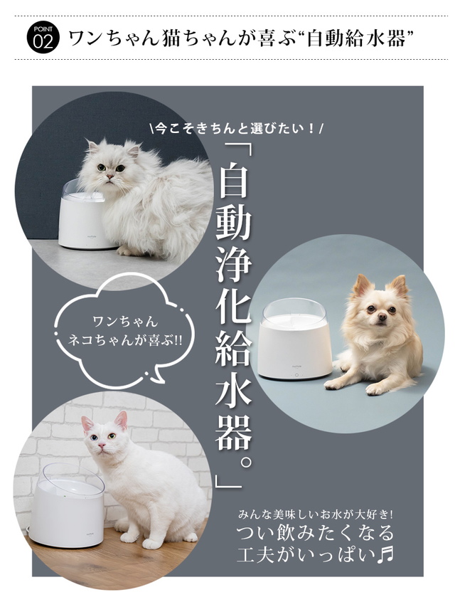 代引き不可 自動給水器 1 5l Ptl E008 送料無料 Mottole 猫 犬 水飲み器 除菌 殺菌 Uv ペット 自動 給水器 自動水やり器 自動水やり機 水 ペット給水器 Shipsctc Org