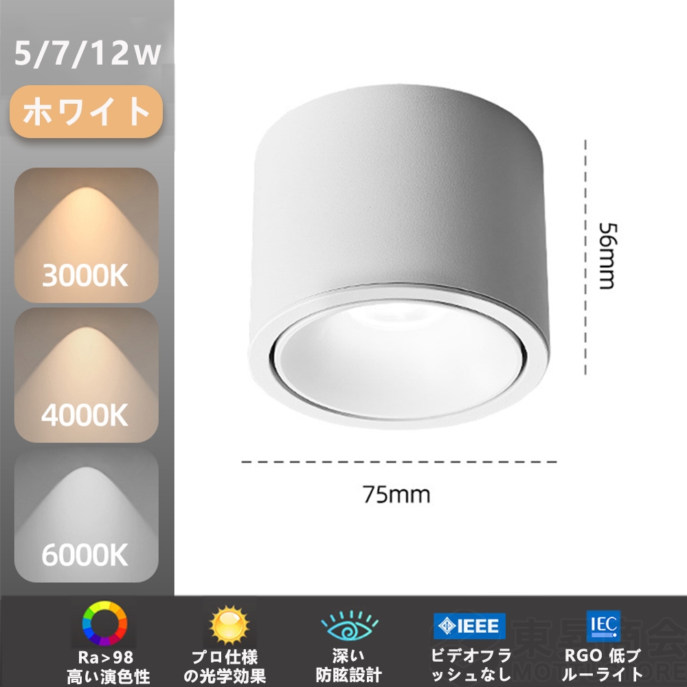 シーリングライト led対応 ダウンライト スポットライト 照射角度調節