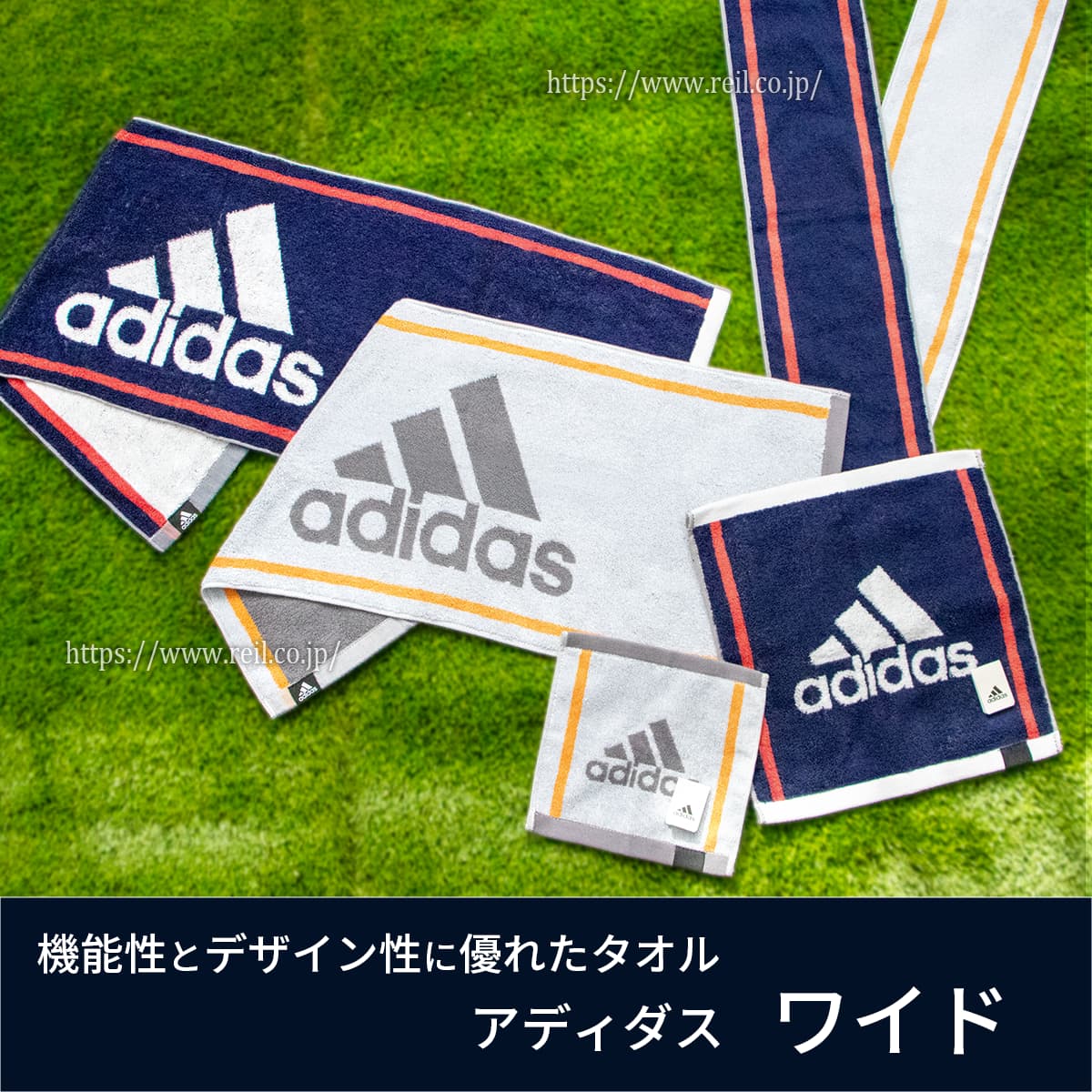 ゾイル