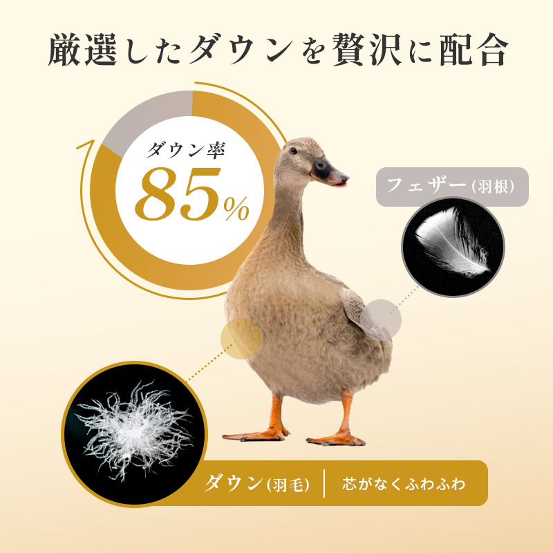 西川 羽毛布団 福袋 シングル 冬用 ダウン85％ 1.2kg 日本製