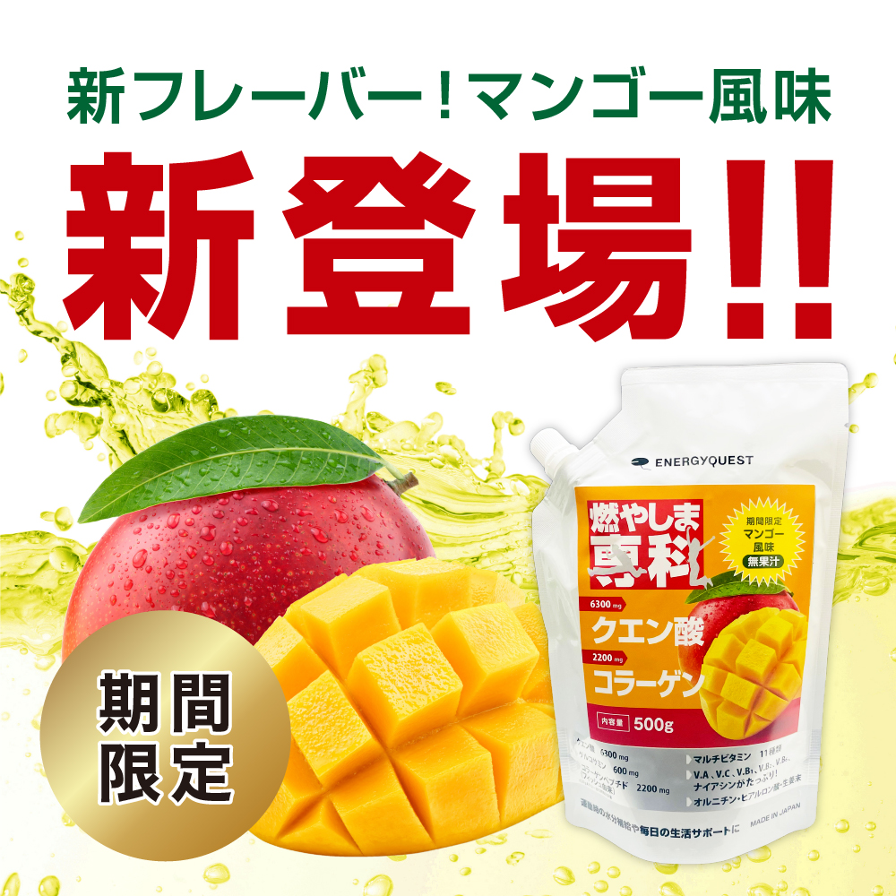 燃やしま専科 500g 公式 スポーツドリンク 粉末 パウダー クエン酸