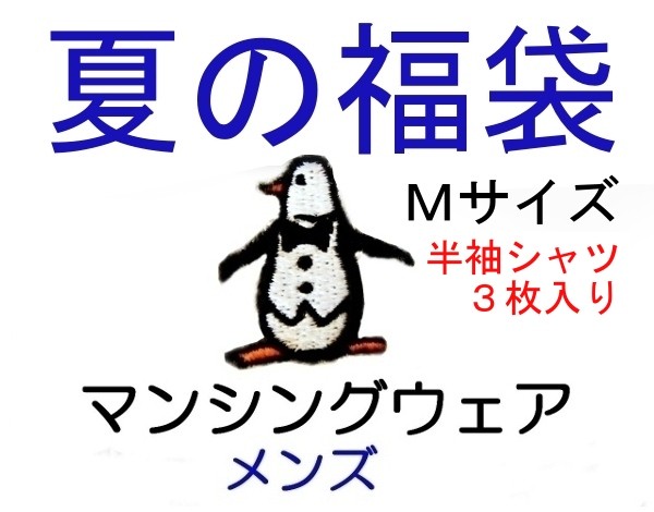 超人気 マンシングウェア メンズ ｍサイズのみ 半袖３枚入り 夏の福袋 送料無料 Mps 164 M 宅送 Kuljic Com