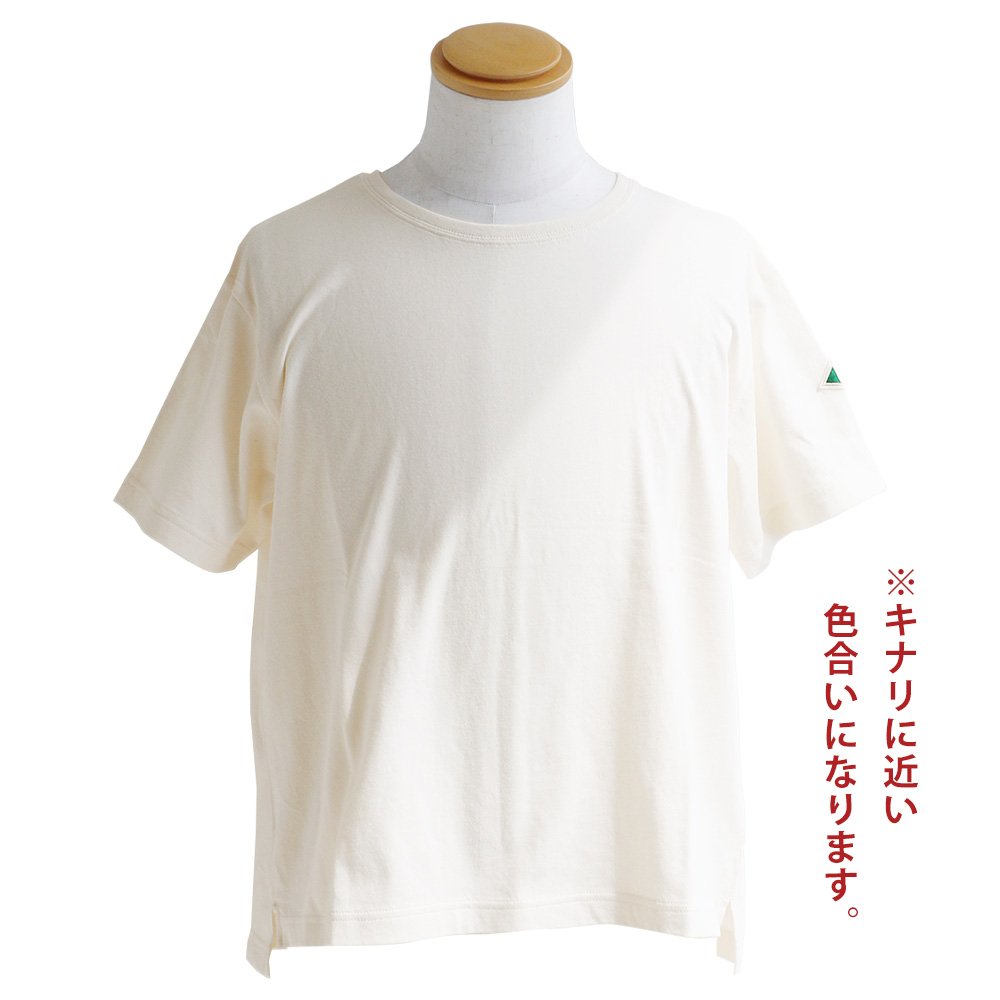 Tシャツ メンズ 半袖 綿100％ 大きいサイズ S M L XL LL 2L 白 無地 バインダーネック 前後アシメスリット SAIL  :r170116007:Mr.Lumberjack - 通販 - Yahoo!ショッピング