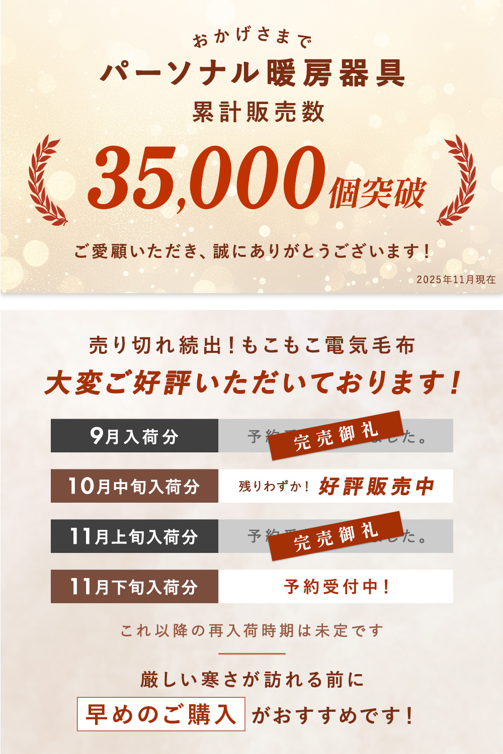 Rocotto（ロコット） 電気毛布 もこもこ 掛け毛布 160×200 セミダブル