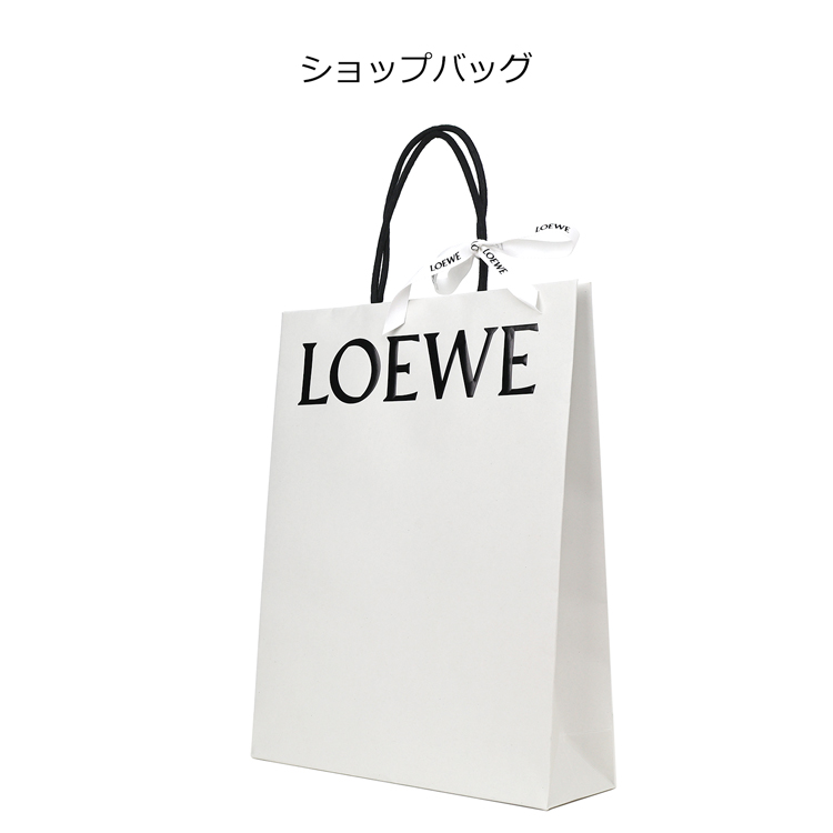 loewe-bag.jpg