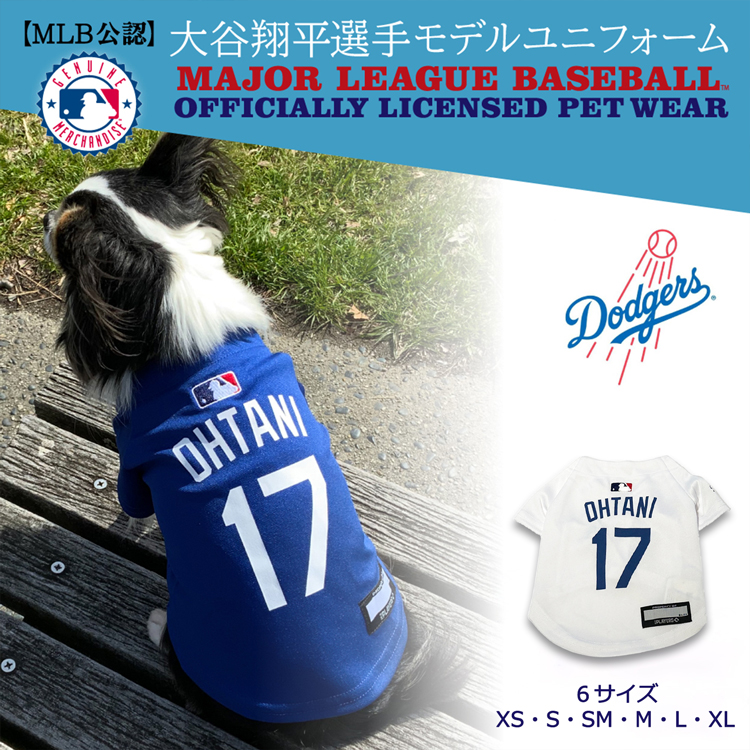 MLBPA MLBF ybgpW[W J[ Jf