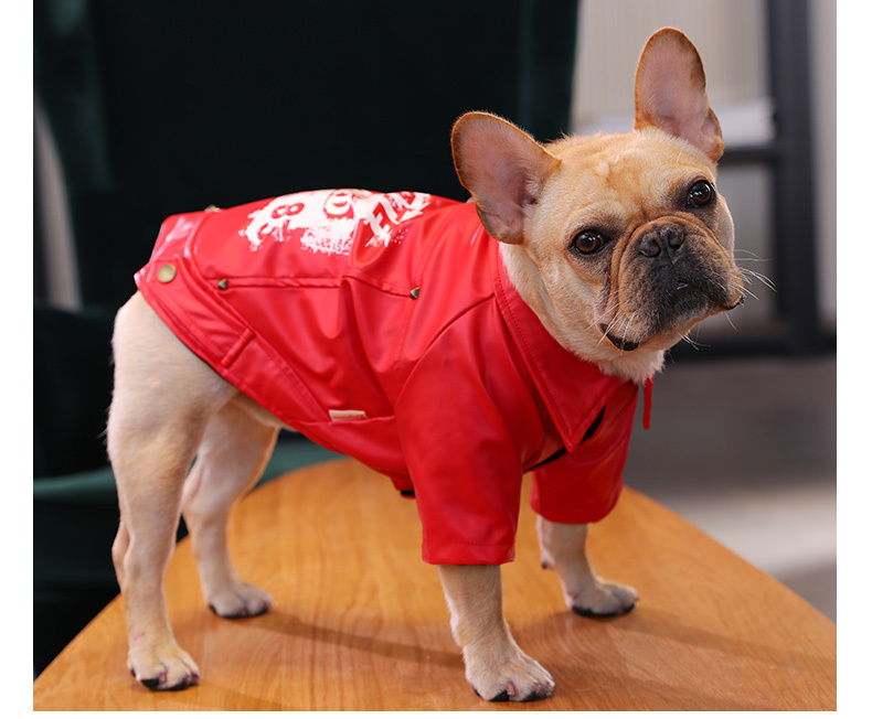 犬服 革ジャン 4 17kg ジャケット ライダースジャケット レザー ウェア ペット ダウン 犬用犬服 ペット服 小型犬 中型犬 犬の服 犬用品 ストリート Q5053 Jane Errin 通販 Yahoo ショッピング