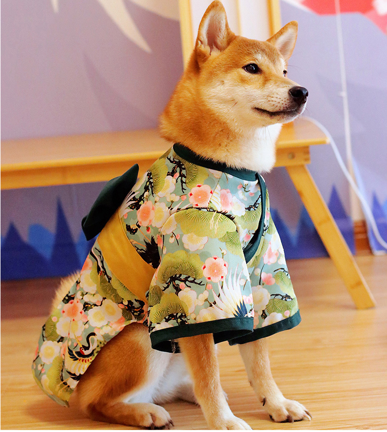 犬服 謹賀新年 送料無料 1 20kg犬用 ジャケット ワンコ服 ワンコ浴衣 犬和服 ペット イヌトミィ 猫服 犬用犬服 ペット服 小型犬 中型犬 犬の 服 無地 柴犬 Y1949 Jane Errin 通販 Yahoo ショッピング