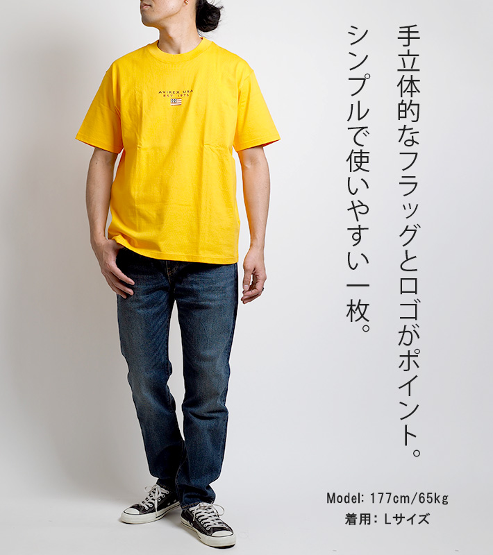 AVIREX アビレックス Tシャツ クルーネック ブロックUSフラッグ