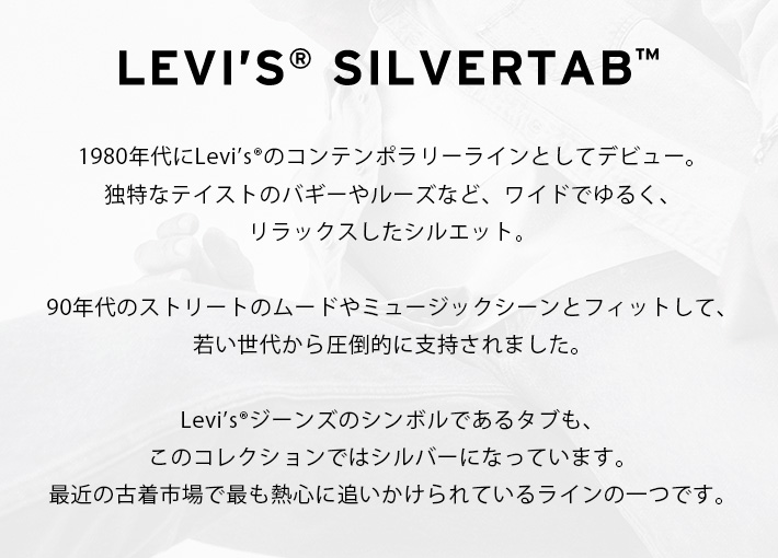 LEVIS SilverTab リーバイス シルバータブ ストライプシャツ