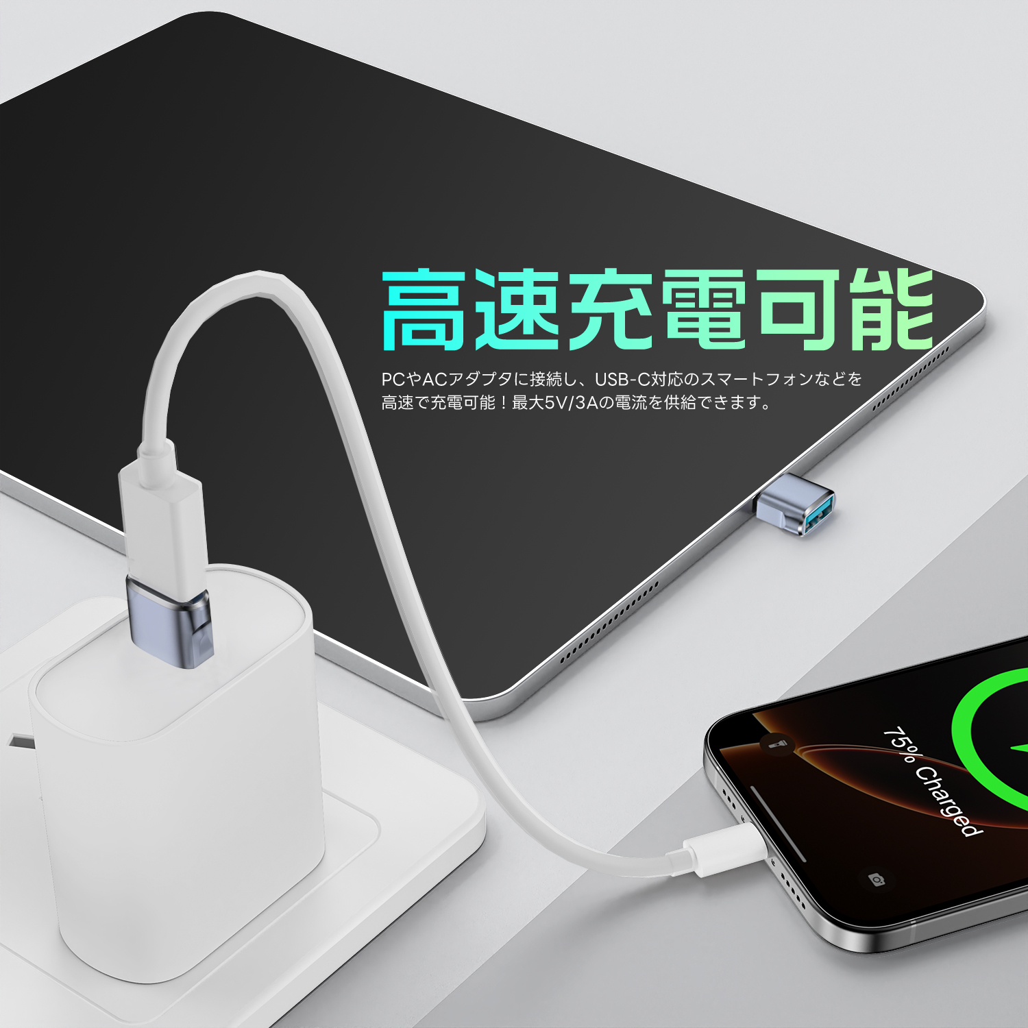 MSL FORCE 【2個目半額/最大600円OFF限定クーポン】Type-C USB-A 変換