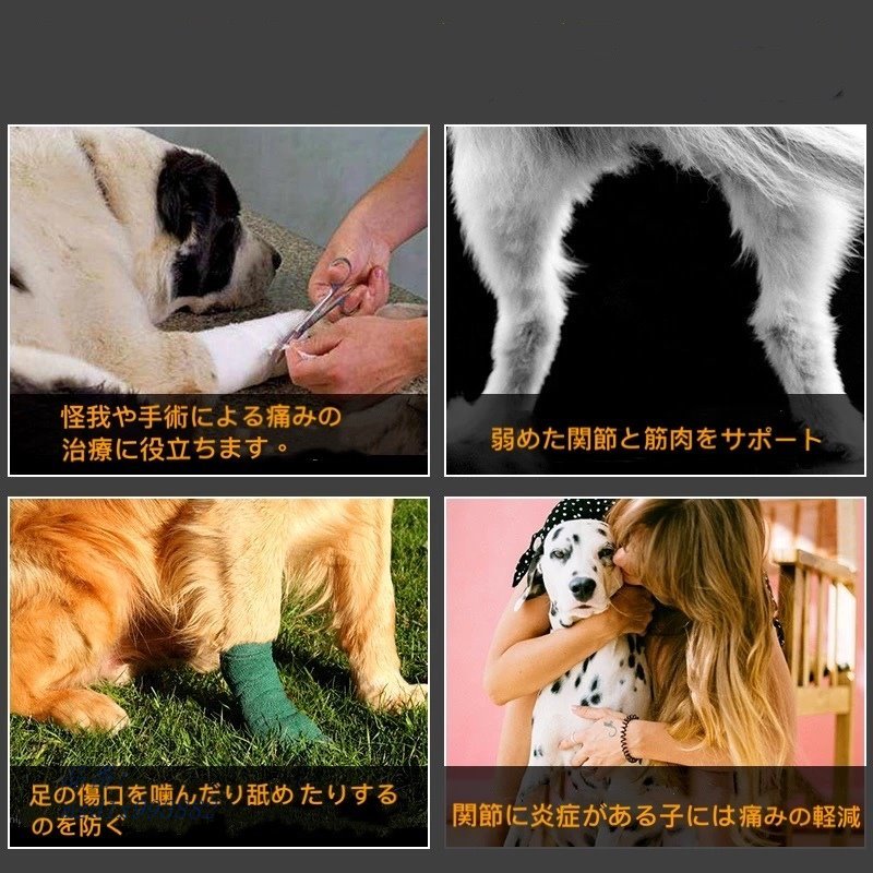 148円 予約 老犬介護用 巻くだけ伸縮包帯 コンビニ受取対応商品