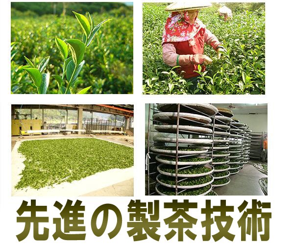 台湾 金萓烏龍茶 ミルクウーロン茶300g（中国茶）送料無料 お得 直輸入