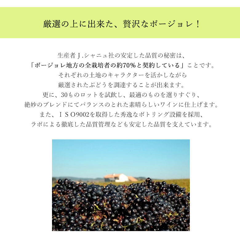 解禁日11/17にお届け】 ジャン ド ロレール ボジョレー ヌーヴォー[2022]（4997678502614）  :10006222:ワインの専門店ヴィネクシオ Yahoo!店 - 通販 - Yahoo!ショッピング