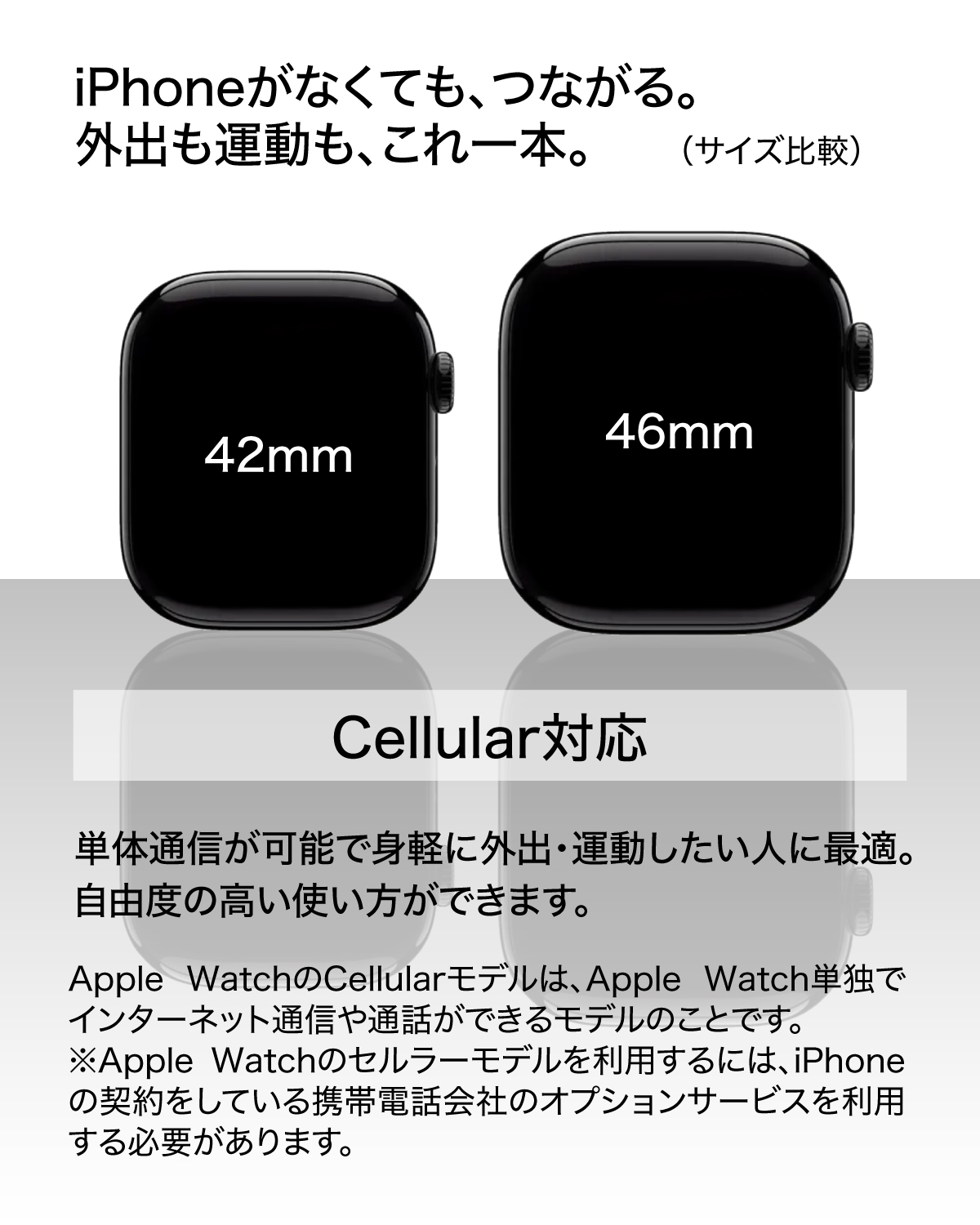 中古 Apple Watch Series 10 GPS + Cellular 42mm box アップルウォッチ シルバー 銀 A3001 Apple 純正品 爆買の画像