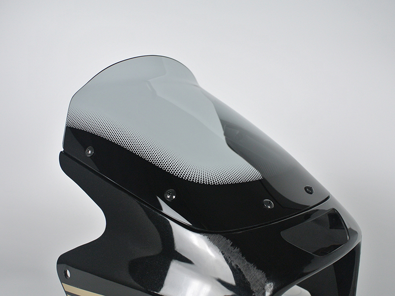カワサキ ZRX1200R DAEG ダエグ 1100 400 後期 スクリーン ライト
