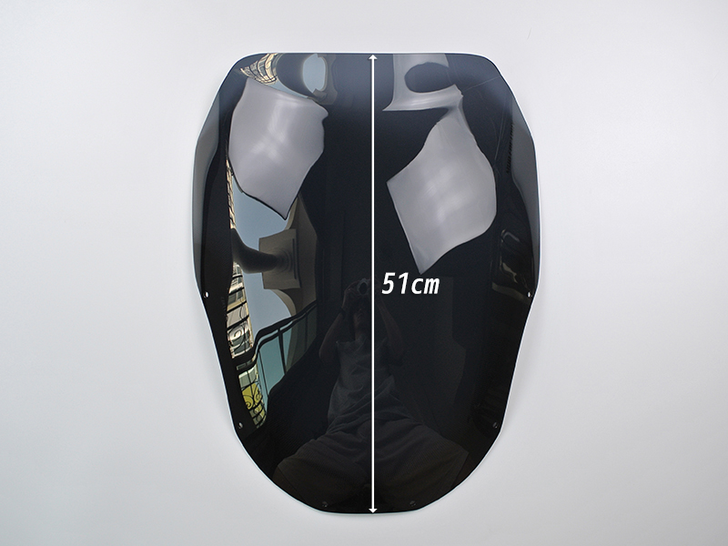 カワサキ ZZ-R1100 ZX-11 ZZR1100 D型 ニンジャ スクリーン