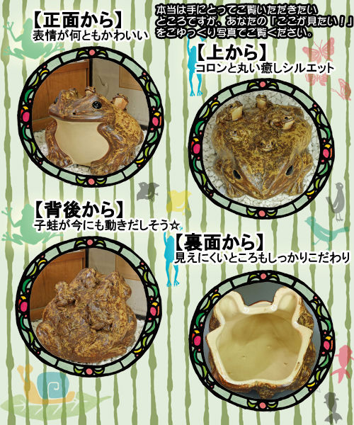 ポイント5倍]信楽焼 六 カエル 置物 15号 [名入れ 対応※有料] 陶器