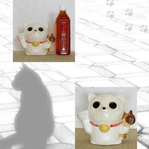 信楽焼の猫